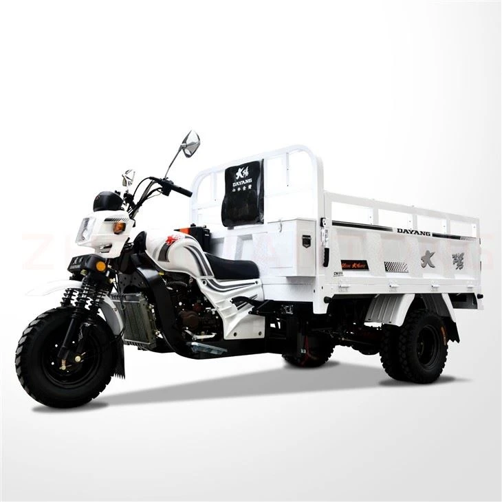 200cc Cargo Trike Moto