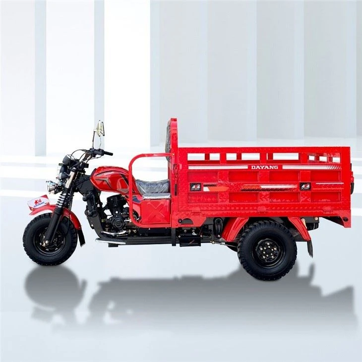 Gas Powered Cargo Tricycle