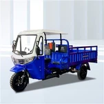 Trehjuls Carga Trike