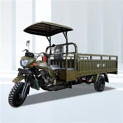 Voksne Bensin Motorisert Last Tricycle Scooter