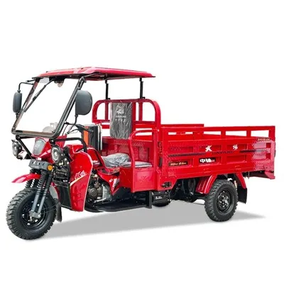 Populære Cargo Trehjuls Passasjer Trehjuls Motorsykkeldeler